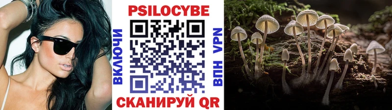 Галлюциногенные грибы Psilocybine cubensis  Купить закладки  Новоалтайск 